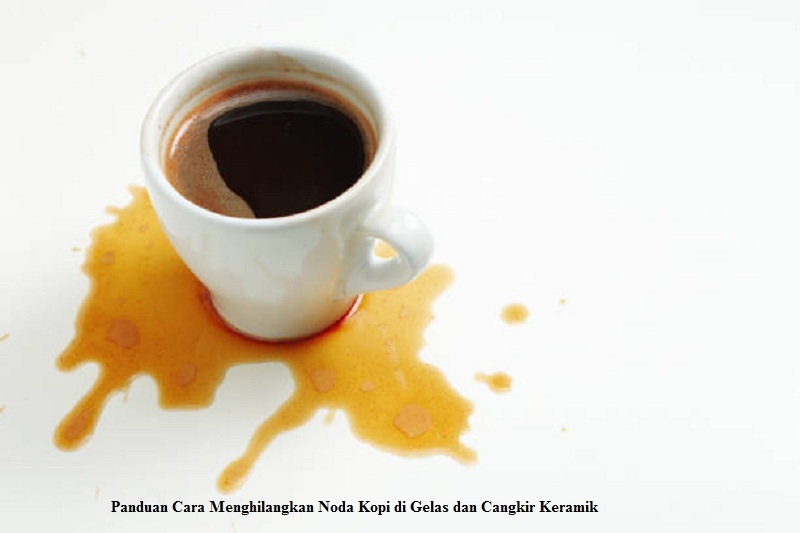 Panduan Menghilangkan Noda Kopi di Gelas dan Cangkir Keramik