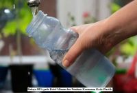 Bahaya BPA pada Botol Minum dan Panduan Keamanan Kode Plastik